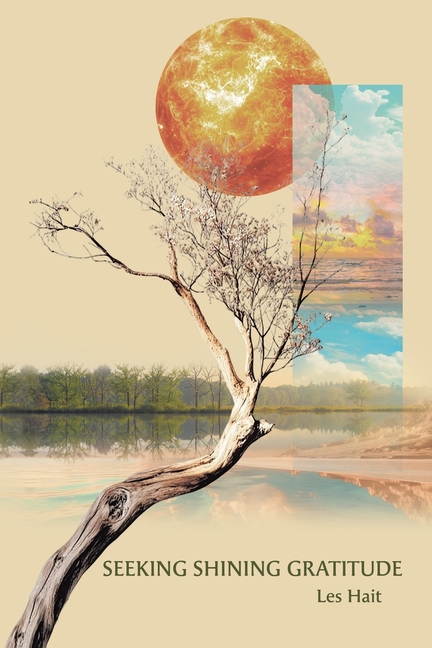 Seeking Shining Gratitude