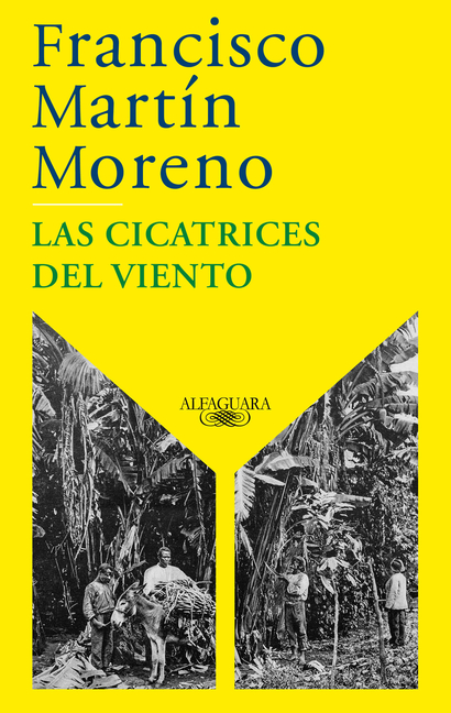 Las cicatrices del viento / The Scars of the Wind
