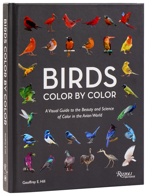 Birds Color by Color: A Visual Guide to the Beauty and Science of Color in the Avian World