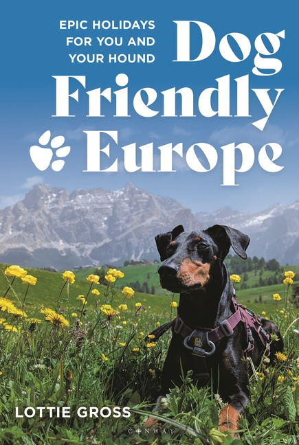 Dog-Friendly Europe: Epic Holidays for You and Your Hound