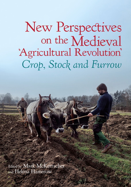 New Perspectives on the Medieval Agricultural Revolution