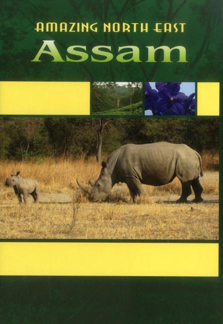Amazing North East - Assam