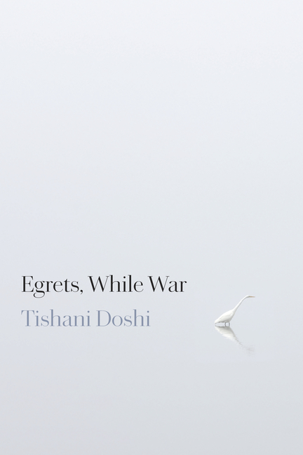 Egrets, While War