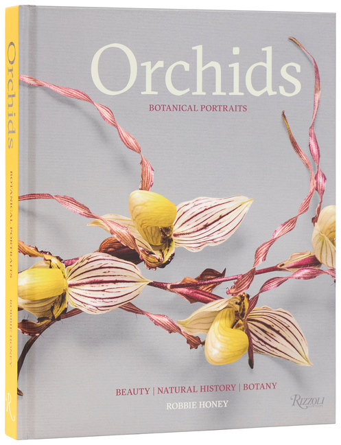 Orchids: Botanical Portraits: Beauty, Natural History, Botany