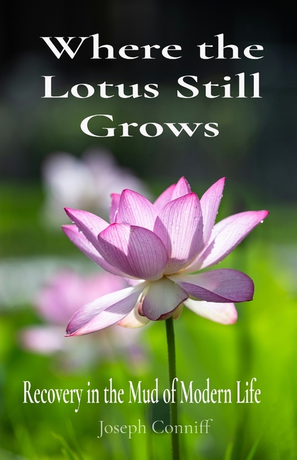 Where the Lotus Still Grows: Recovery in the Mud of Modern Life