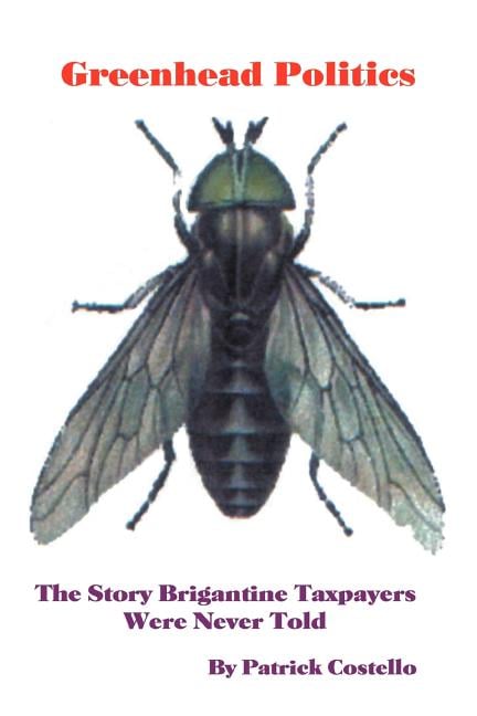 Greenhead Politics: The Story Brigantine Taxpayers Were Never Told