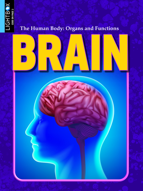 Brain