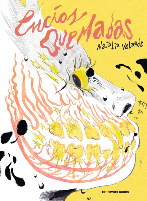 Encías Quemadas / Burnt Gums