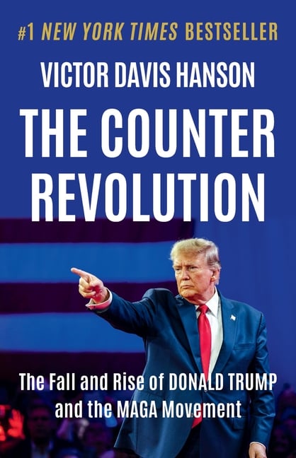 The Counterrevolution: The Fall and Rise of Donald Trump and the Maga Movement