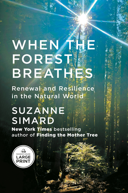 When the Forest Breathes: Renewal and Resilience in the Natural World