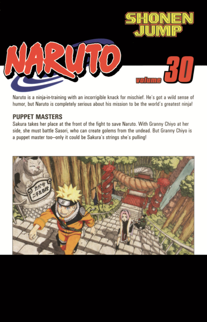 Naruto, Vol. 30: Puppet Masters