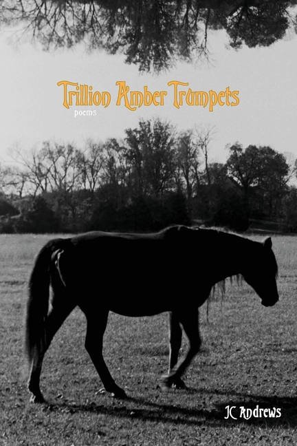 Trillion Amber Trumpets