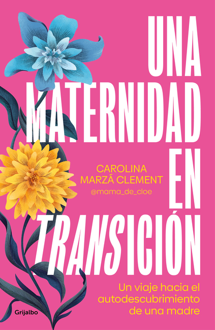 Una Maternidad En Transición / Maternity in Transition