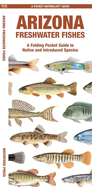 Arizona Freshwater Fishes: A Folding Pocket Guide to Native and Introduced Species