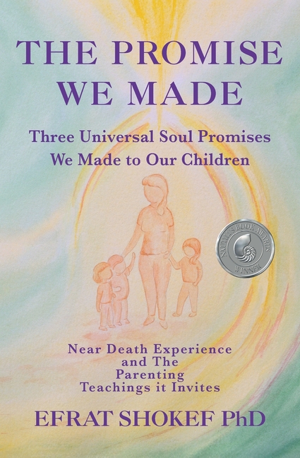 The Promise We Made: Three Universal Soul Promises We Made to Our Children.