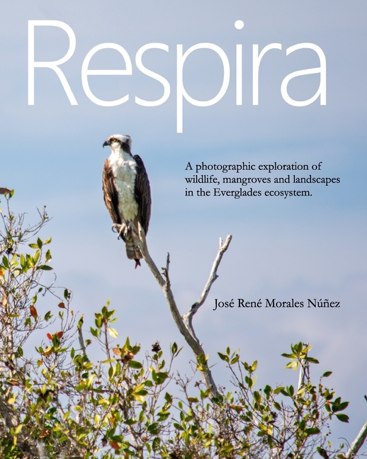 Everglades: A Photographic Journey Through Wildlife, Mangroves and Landscapes of Florida.