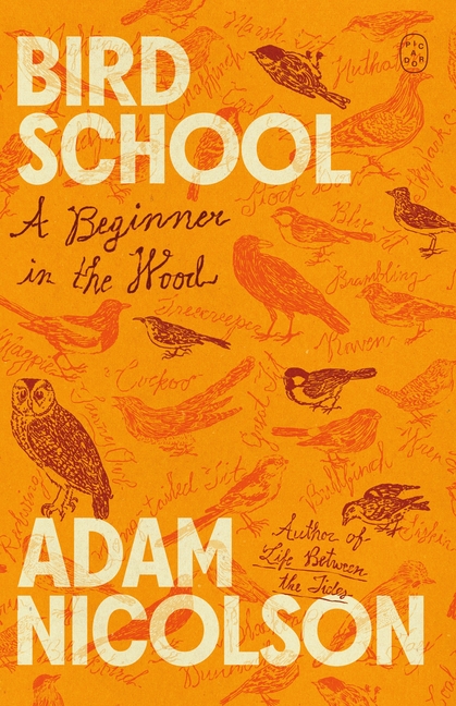Bird School: A Beginner in the Wood