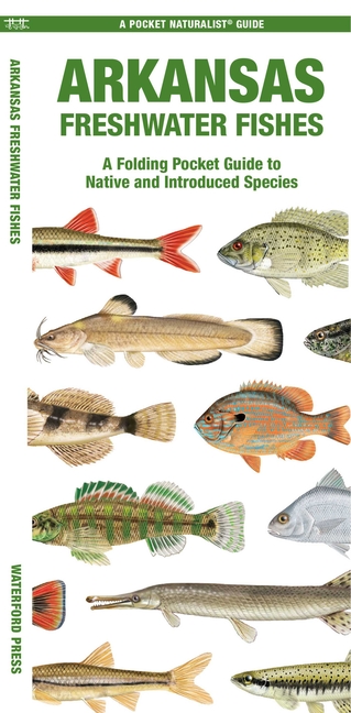 Arkansas Freshwater Fishes: A Folding Pocket Guide to Native and Introduced Species