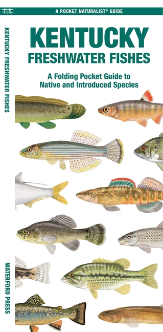 Kentucky Freshwater Fishes: A Folding Pocket Guide to Native and Introduced Species