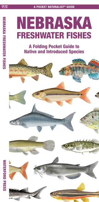 Nebraska Freshwater Fishes: A Folding Pocket Guide to Native and Introduced Species