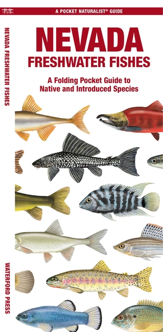 Nevada Freshwater Fishes: A Folding Pocket Guide to Native and Introduced Species