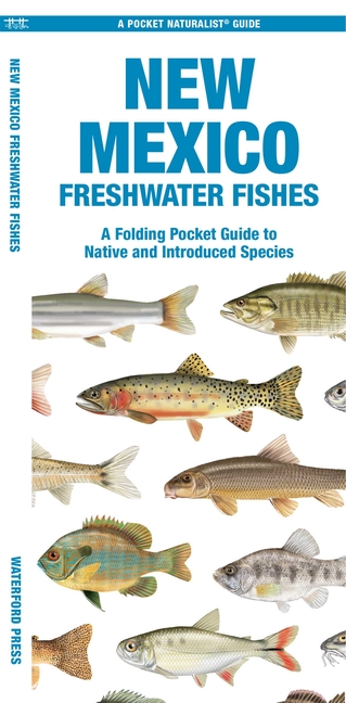 New Mexico Freshwater Fishes: A Folding Pocket Guide to Native and Introduced Species