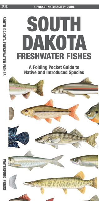 South Dakota Freshwater Fishes: A Folding Pocket Guide to Native and Introduced Species