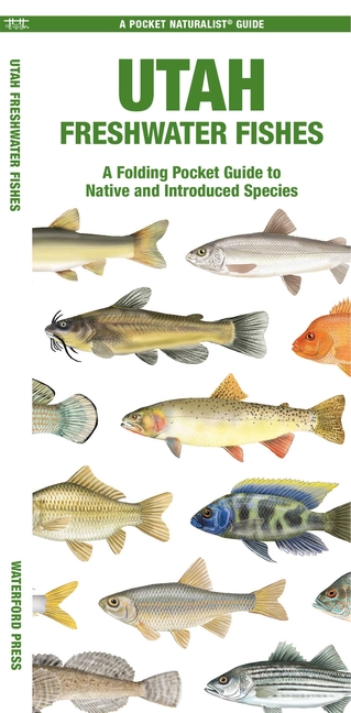 Utah Freshwater Fishes: A Folding Pocket Guide to Native and Introduced Species