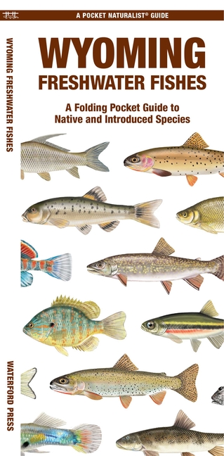 Wyoming Freshwater Fishes: A Folding Pocket Guide to Native and Introduced Species