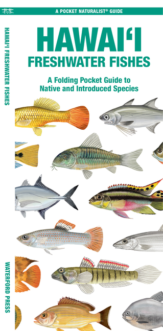 Hawai'i Freshwater Fishes: A Folding Pocket Guide to Native and Introduced Species