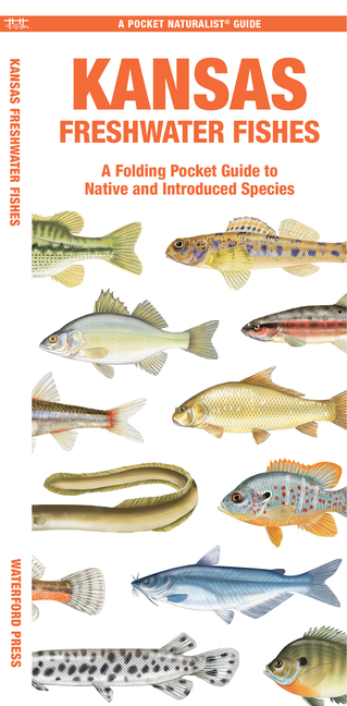 Kansas Freshwater Fishes: A Folding Pocket Guide to Native and Introduced Species