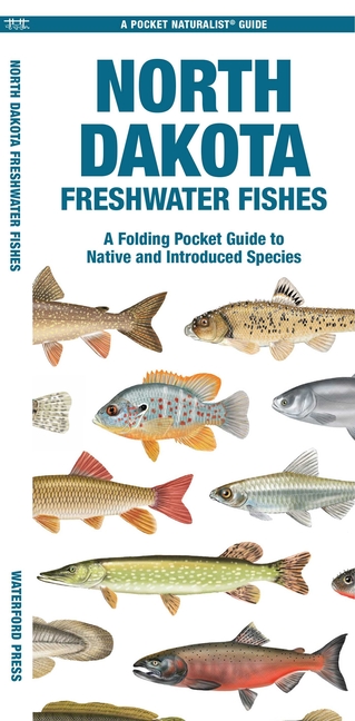North Dakota Freshwater Fishes: A Folding Pocket Guide to Native and Introduced Species