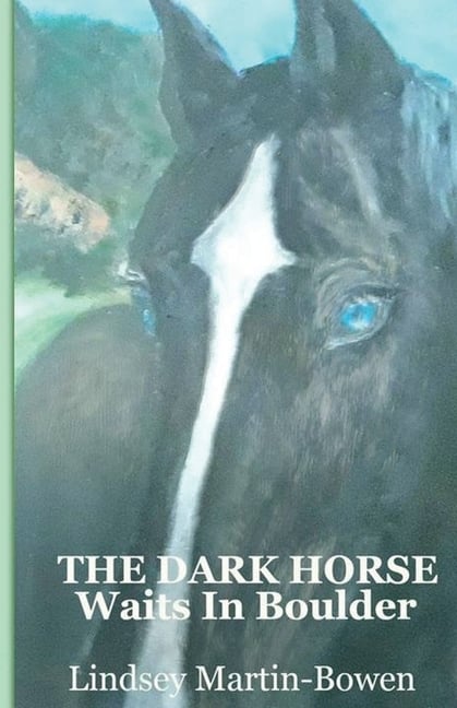 The Dark Horse Waits in Boulder