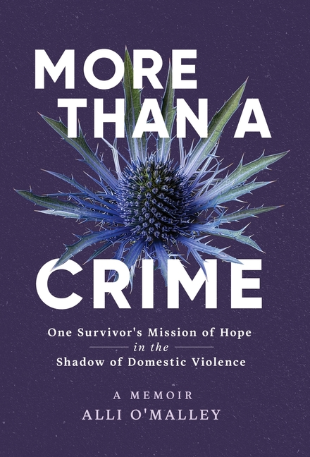 More than a Crime: One Survivor's Mission of Hope in the Shadow of Domestic Violence