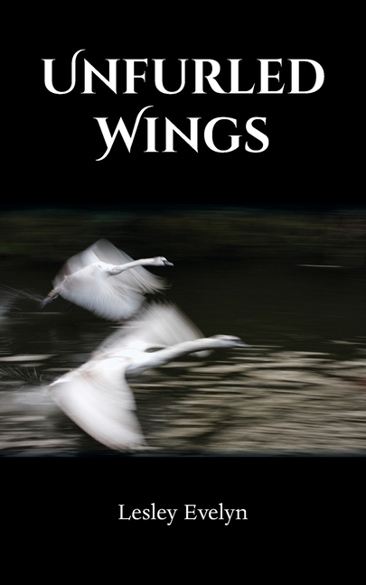 Unfurled Wings: A journey of military service life and family resilience