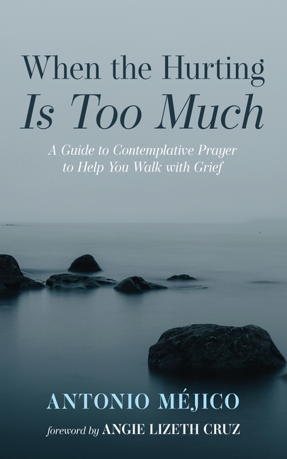 When the Hurting Is Too Much: A Guide to Contemplative Prayer to Help You Walk with Grief