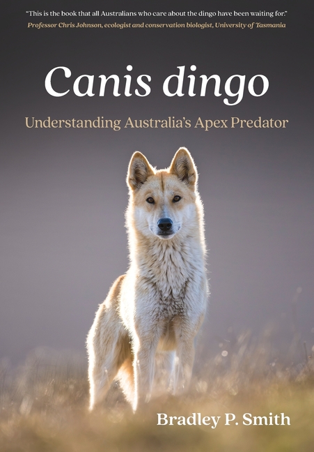 Canis dingo: Understanding Australia's Apex Predator
