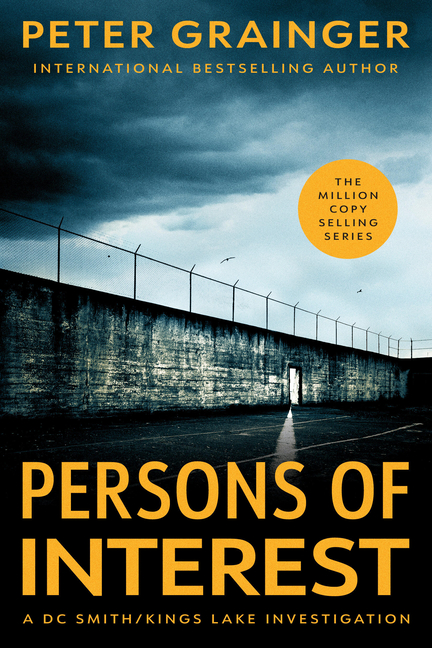Persons of Interest: A Novel Volume 4