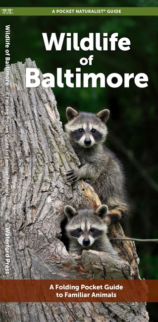 Wildlife of Baltimore: A Folding Pocket Guide to Familiar Animals
