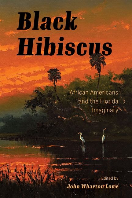 Black Hibiscus: African Americans and the Florida Imaginary (Hardback)