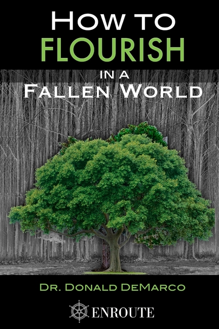 How to Flourish in a Fallen World