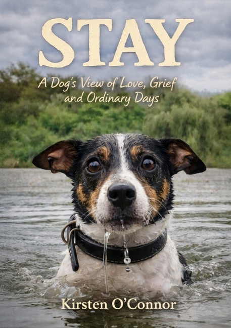 Stay: A Dog's View of Love, Grief, and Ordinary Days