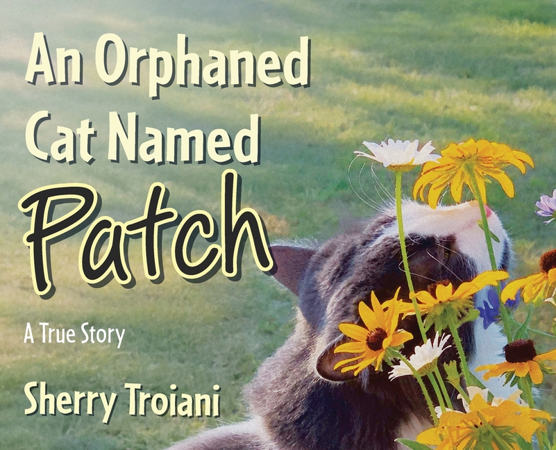 An Orphaned Cat Named Patch: A True Story