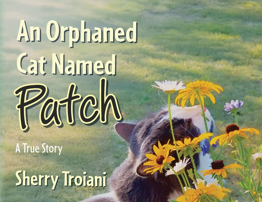 An Orphaned Cat Named Patch: A True Story