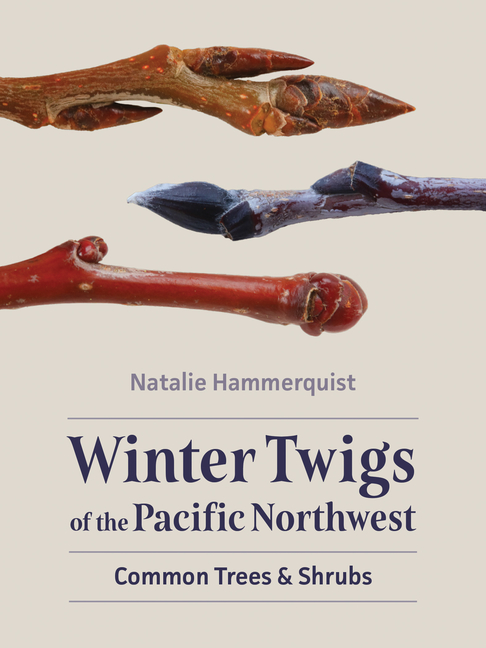 Winter Twigs of the Pacific Northwest: Common Trees and Shrubs