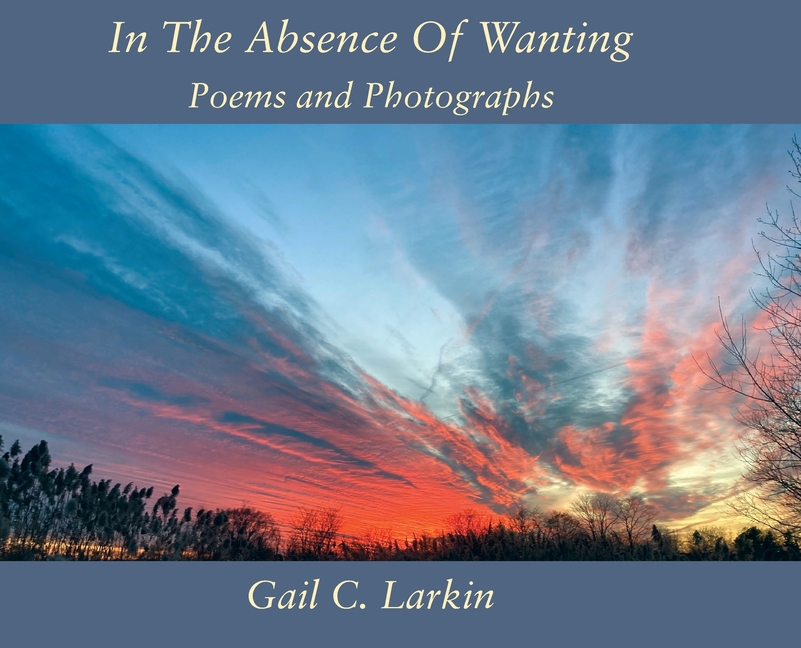 In The Absence Of Wanting: Poems and Photographs