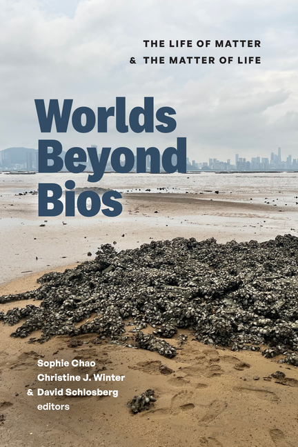 Worlds Beyond BIOS: The Life of Matter and the Matter of Life