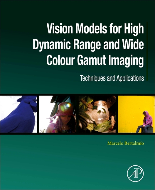 Vision Models for High Dynamic Range and Wide Colour Gamut Imaging: Techniques and Applications