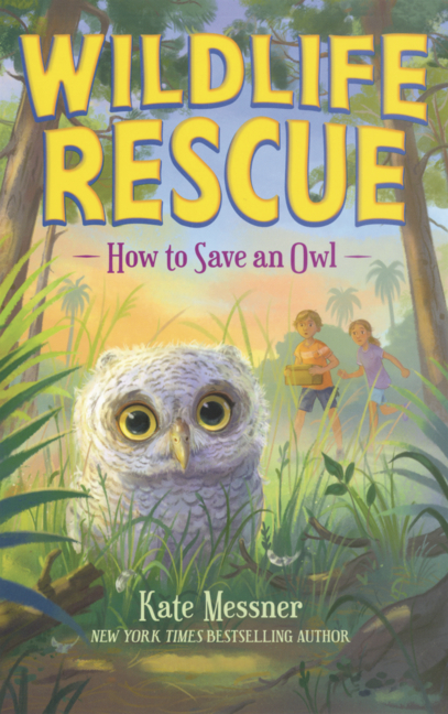 How to Save an Owl