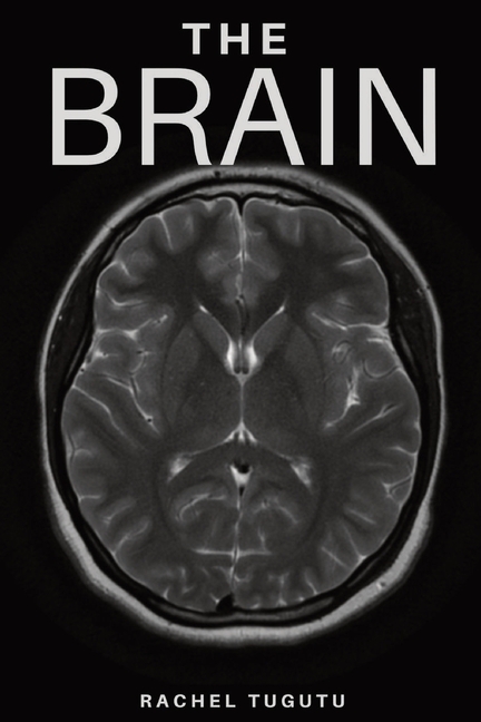 The Brain